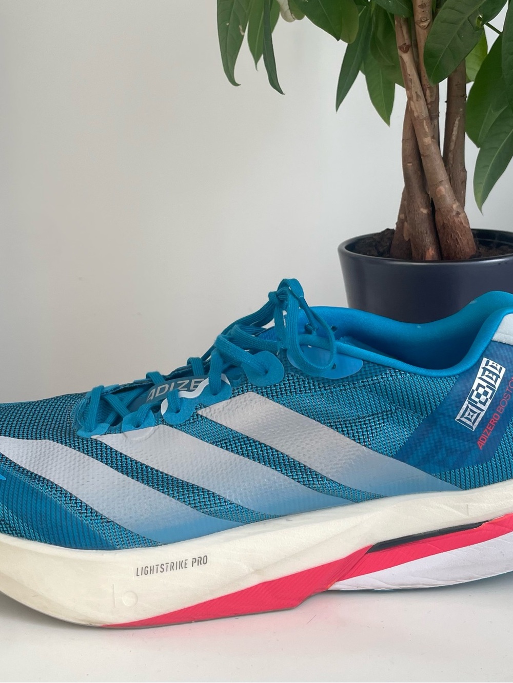 Men Size 12.5 adidas Adizero Boston 13
Ekiden Solar Blue Silver Running Shoes